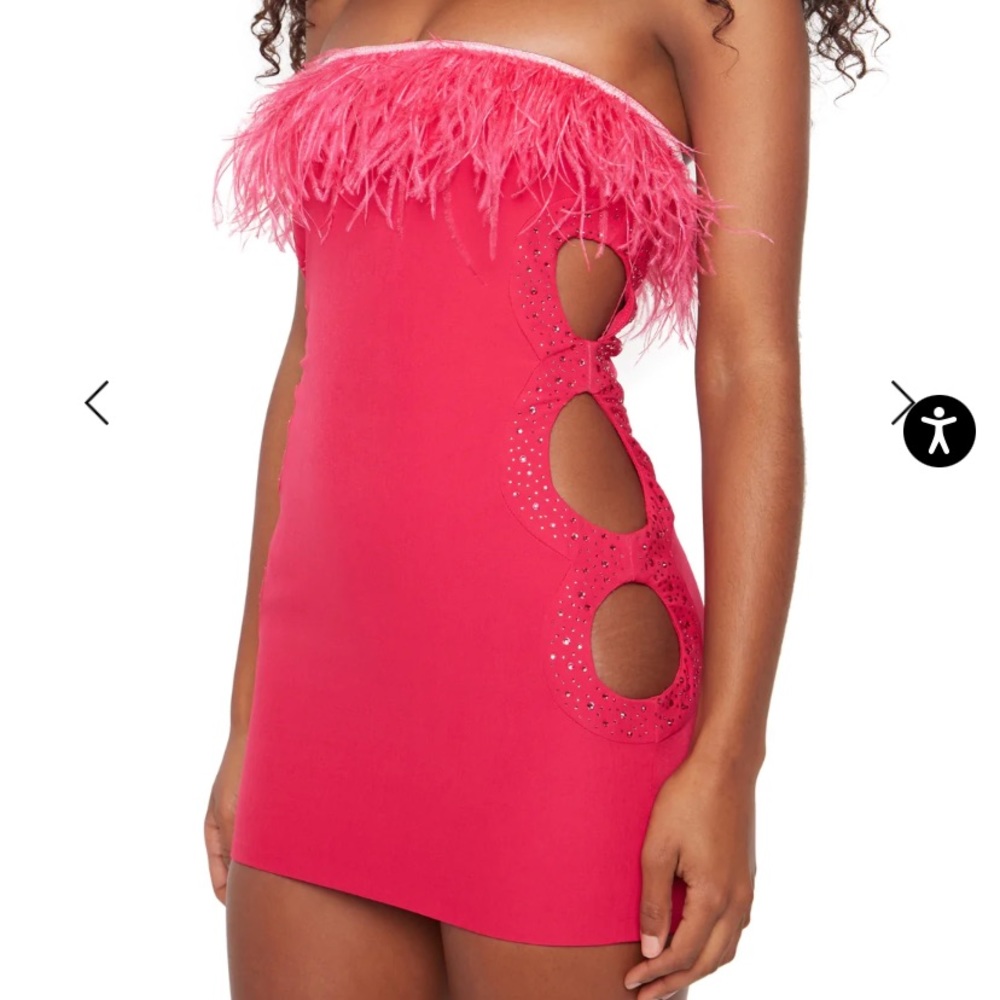 Guizio Feather Trim Embellished Dress